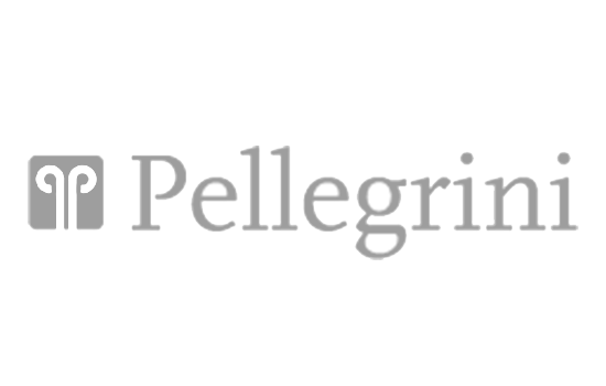 logo pellegrini